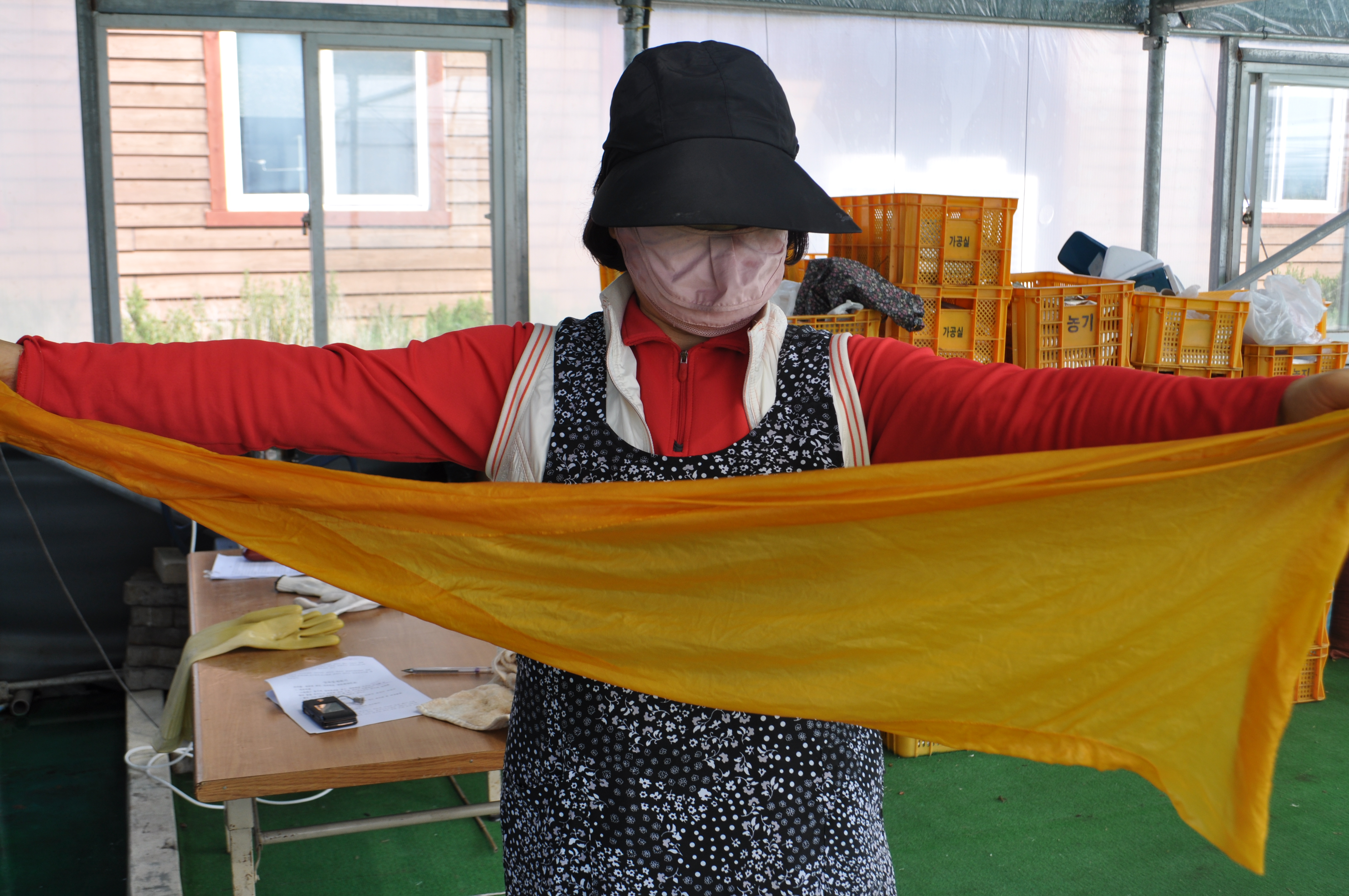 천연염색교실 2회차